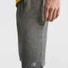 10" Moisture Wicking, Sport Shorts